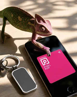 AI-led ad film for HDFC's PIXEL credit card, themed around a chameleon