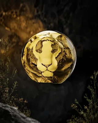 Graphics-led product film for Shaze's Tiger jewellery collection
